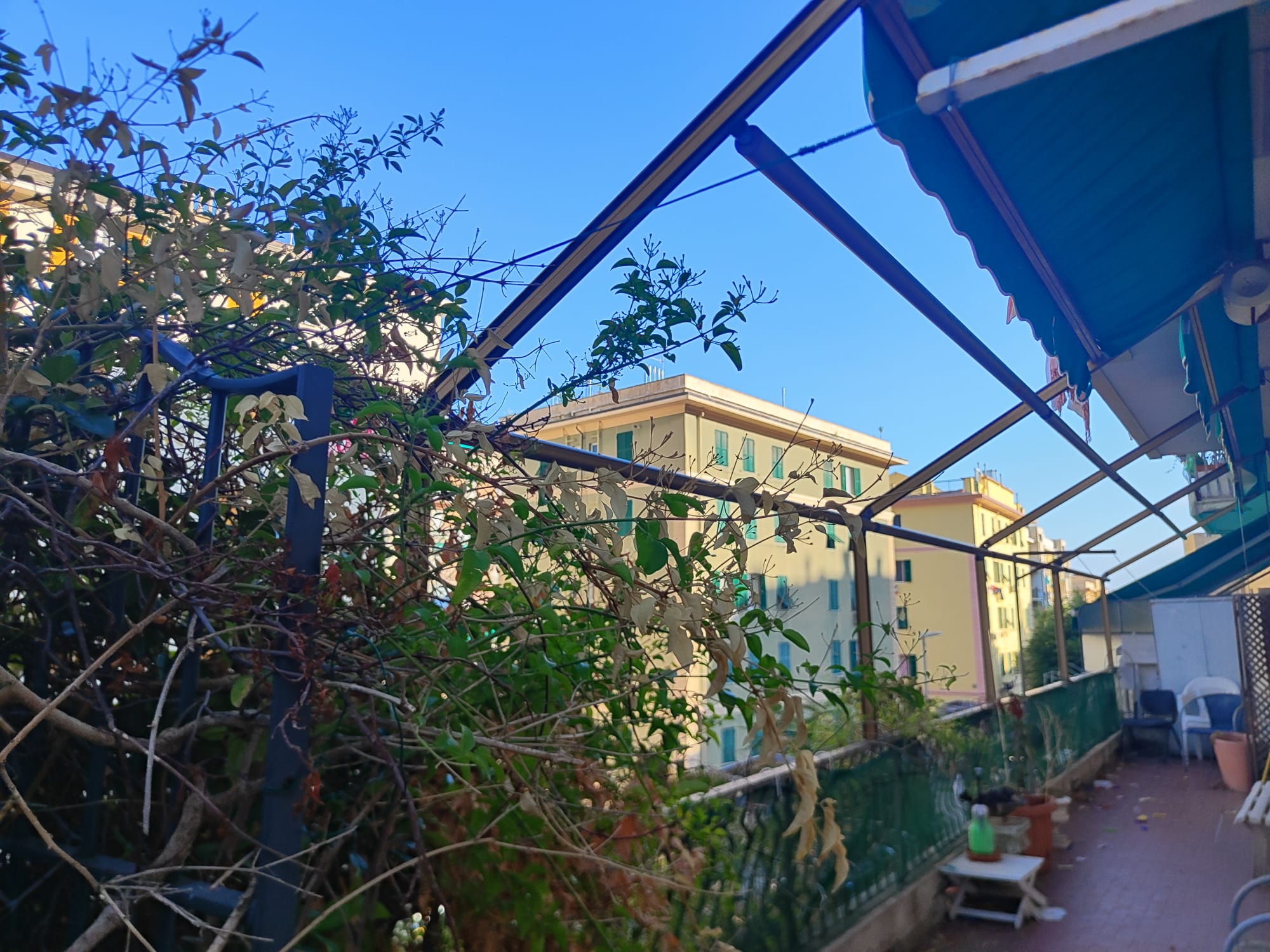 PIENA PROPRIETA GENOVA - STURLA